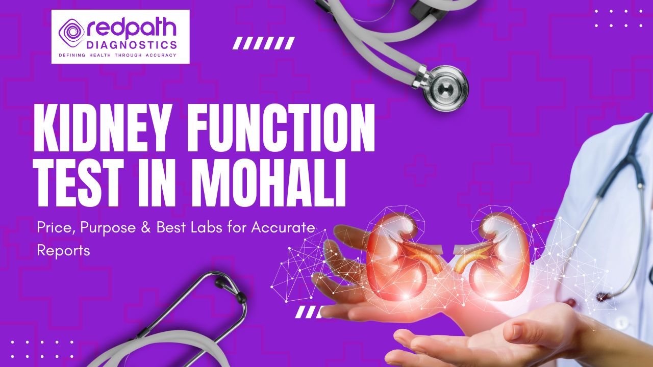 Kidney Function Test in Mohali: Price, Purpose & Best Labs for Accurate Reports